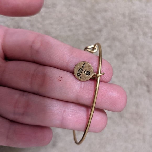 Alex and Ani Bracelet - Picture 9 of 9